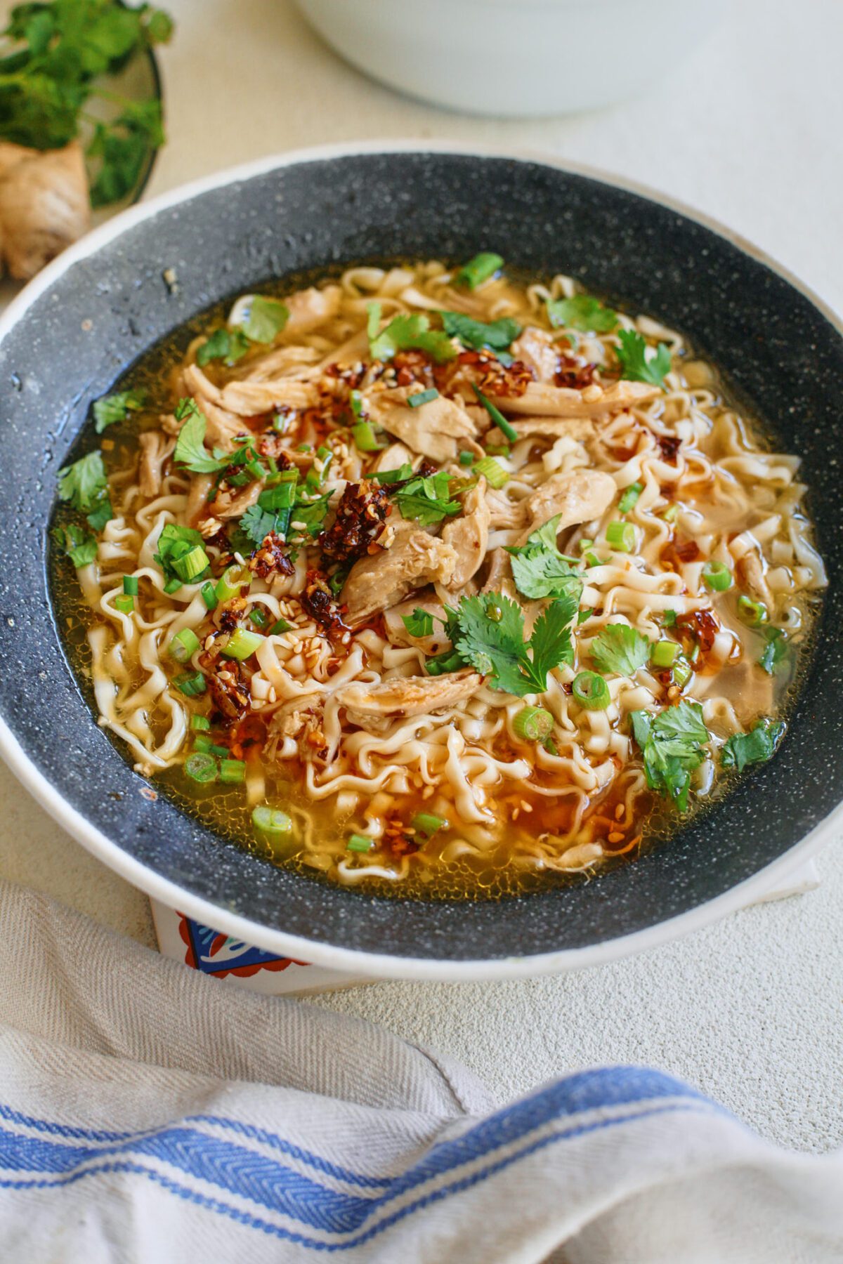 Single-Serve Ginger Chicken Noodle Soup – britacooks