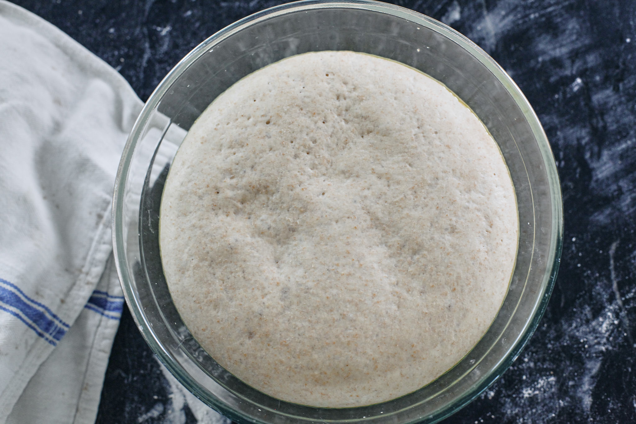 homemade pizza dough