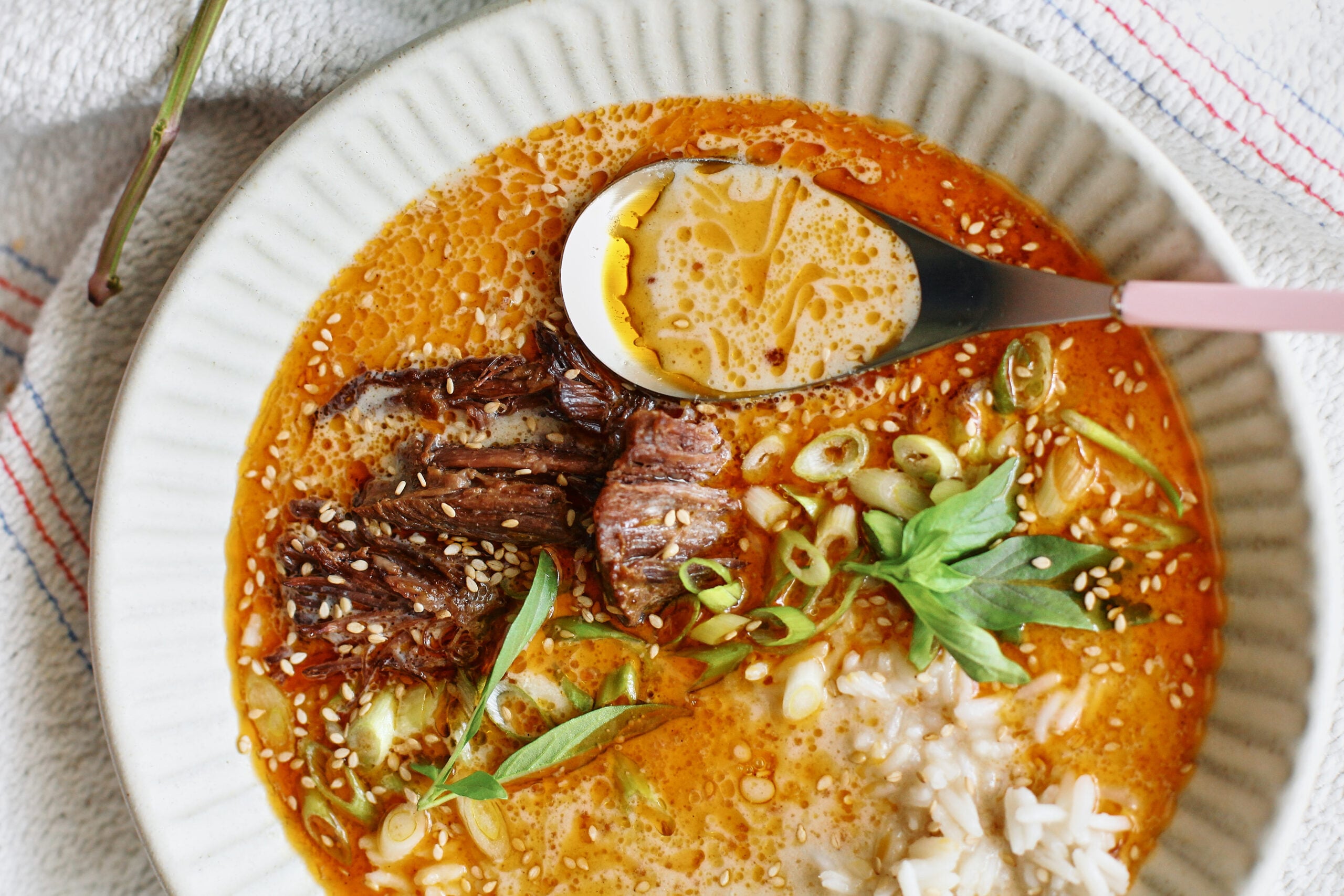 spicy short rib coconut curry brothy rice bowl
