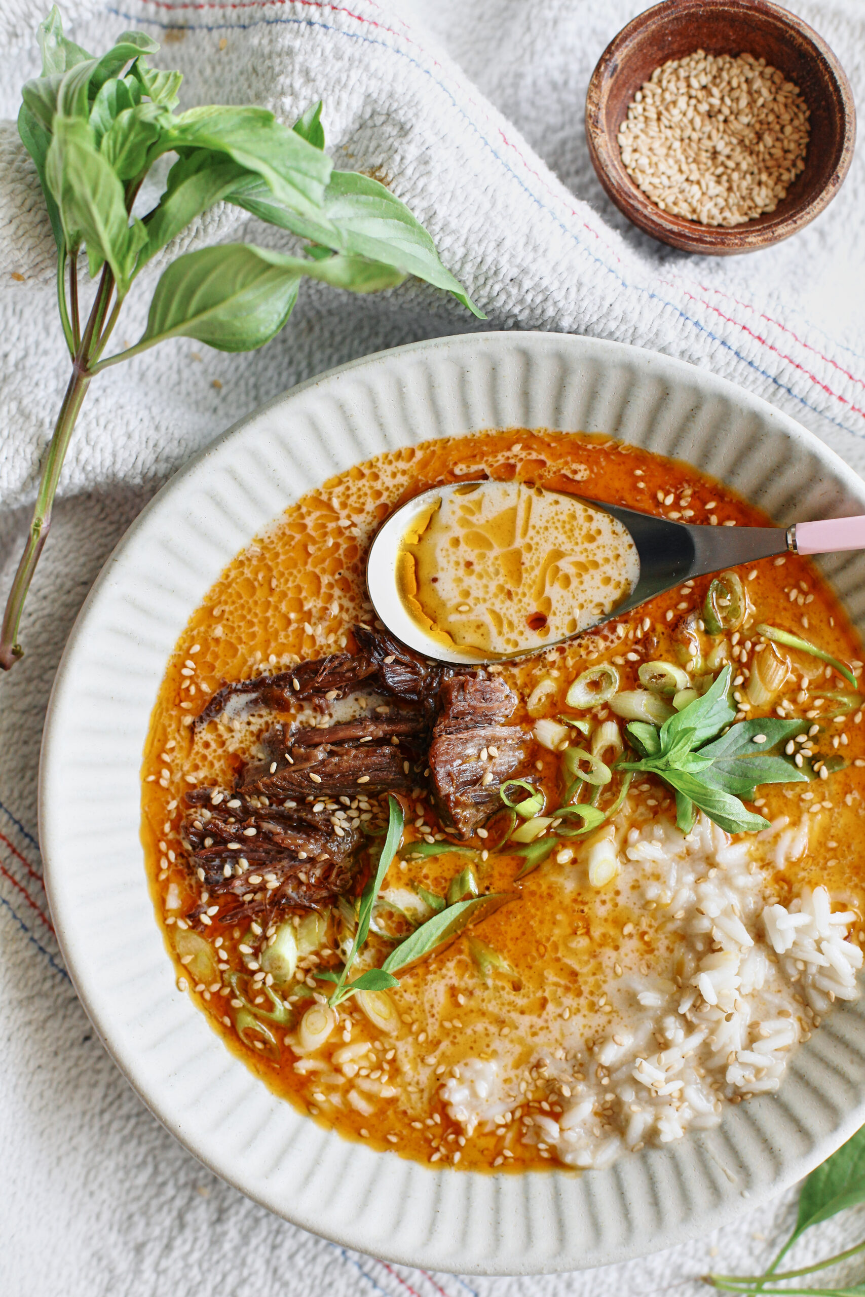 spicy short rib coconut curry brothy rice bowl